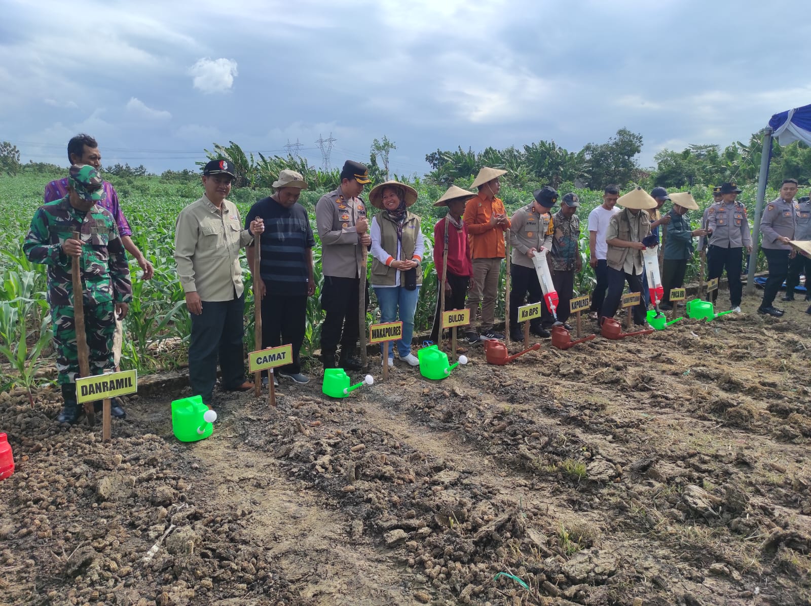 Zoom Meeting dan Penanaman Jagung Serentak Kuartal I 2026