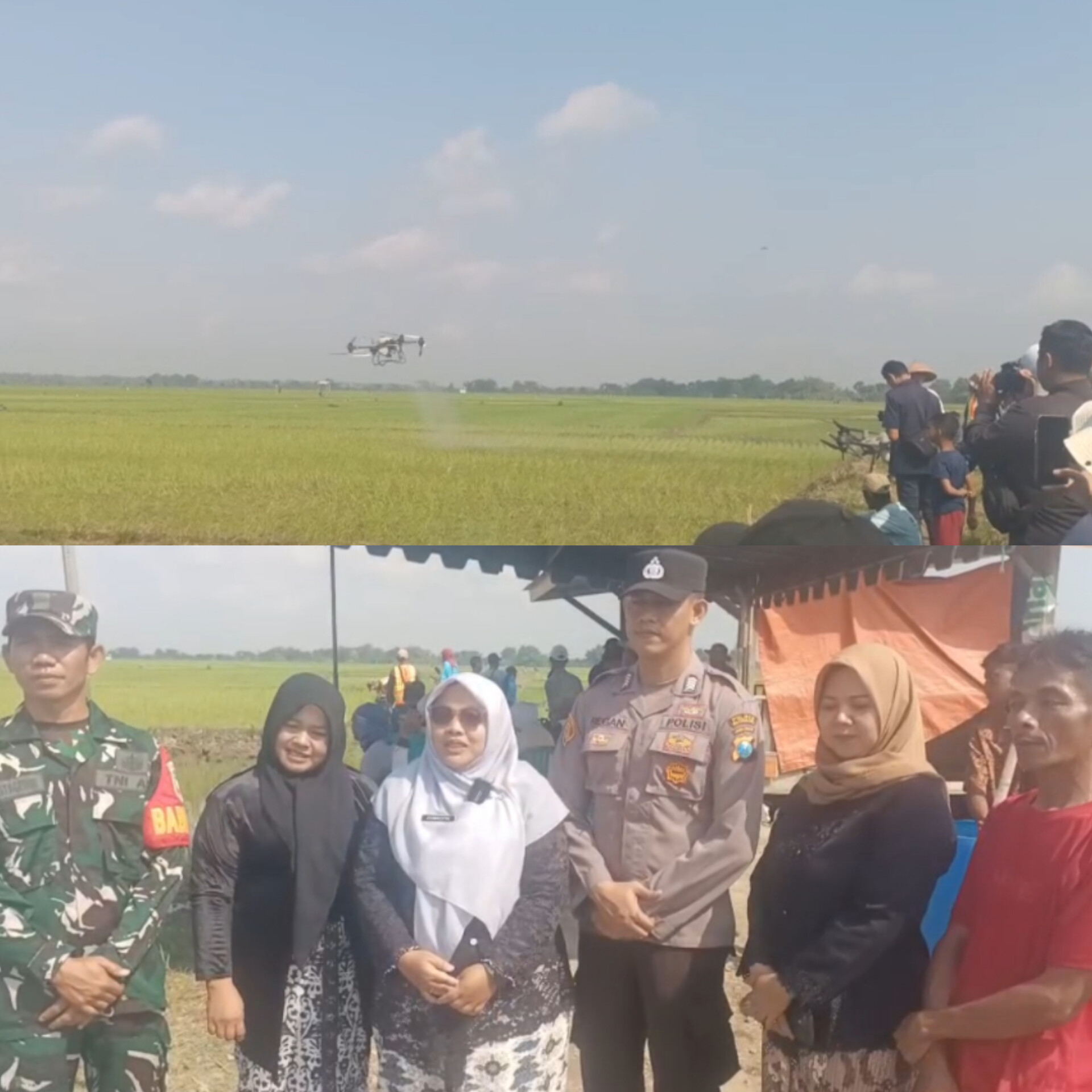Akselerasi Pertanian Modern, Kodim 0813 Bojonegoro Gelar Pemupukan Padi Gunakan Drone di Dander